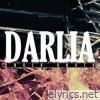 Darlia - Knock Knock EP