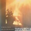 Off to the Woods - Single