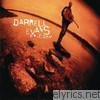 Darrell Evans - Freedom