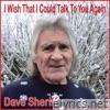 I Wish That I Could Talk to You Again - Single