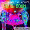 David Banner - Slow Down - single