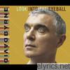 David Byrne - Look Into the Eyeball