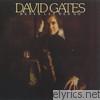 David Gates - Never Let Her Go