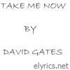 David Gates - Take Me Now - Single