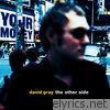 David Gray - The Other Side - Single