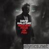 David Hallyday - Requiem pour un fou