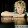 David Martin - Something In Your Eyes