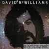 David McWilliams