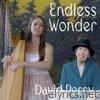 Endless Wonder - Single