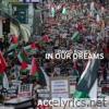 In Our Dreams (Acoustic)