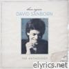 David Sanborn - Then Again - The David Sanborn Anthology