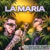 La María (En vivo) - Single