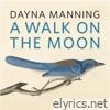 A Walk On The Moon - Single