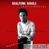 Bhalpowa Nohole (Instrumental) - Single