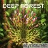 Anatolia - Single