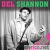 Del Shannon Live (The Final Concert)