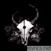 Demon Hunter - Summer of Darkness