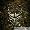 There Was A Light Here - Single