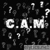C.A.M - Single
