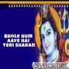 Bhole Hum Aaye Hai Teri Sharan - Single