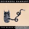 Devendra Banhart - The Black Babies