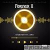Forever X (feat. DMX) - Single