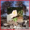 Return of Youth - Single