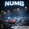 Numb (feat. Zen La Sol & James) - Single