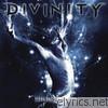 Divinity - The Singularity