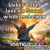 Lieber Gott, lass die Sonne wieder scheinen (Edit) - Single