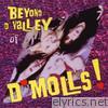 Beyond D'Valley of D'Molls