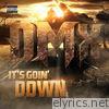 DMX - It's Goin' Down - Single