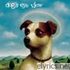 Dog's Eye View - Daisy
