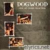Dogwood lyrics