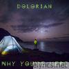 Why You're Here - Single
