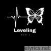Leveling