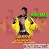 Amina - Single
