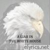 Liar in the White House - Single