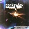 Flash of Light - Single