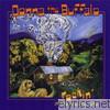 Donna The Buffalo - Rockin' In the Weary Land