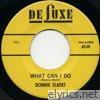 What Can I Do / Have I Sinned (2026 Mix) - Single