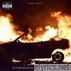 Ex Presidents, endless summer - Single