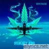 Flight 420 (Instrumental) - Single