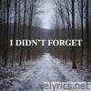 I Didn't Forget - Single
