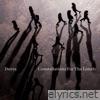 Constellations For The Lonely (Deluxe Edition)
