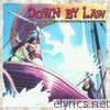 Down By Law - Windwardtidesandwaywardsails