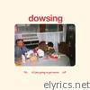 Dowsing - It's Just Going to Get Worse