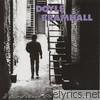 Doyle Bramhall - Bird Nest on the Ground