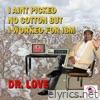 I Ain't Picked No Cotton But I Worked for IBM - Single