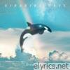 KIRAKIRA DAYS - Single